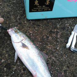 つばっしー！！！❤